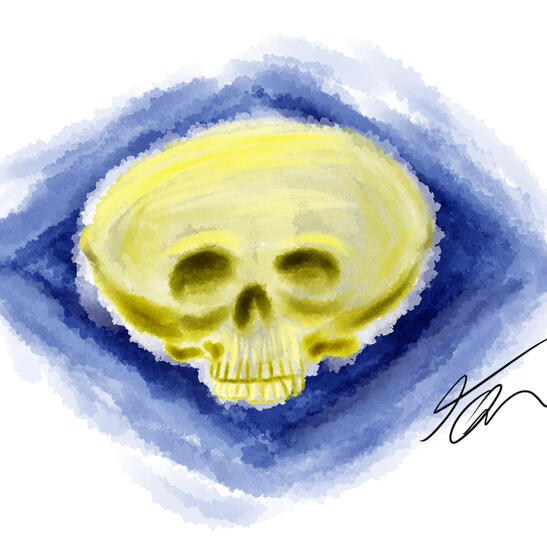 Untitled